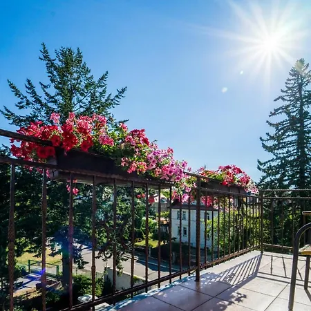 Walir Hotel 3*